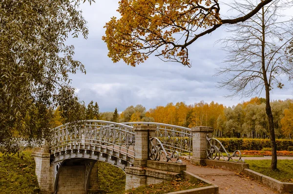 Openwork Metal Bridge Autumn Park Sandy Path Trees Covered Green — Stock Photo, Image