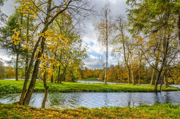 Parque Outono Com Lago Azul Floresta Dourada Prado Verde Uma — Fotografia de Stock