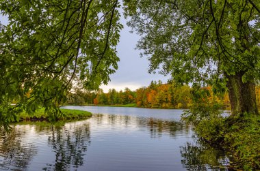 Sarı yapraklar halı zemin, altın dekorasyon, mavi su göle ağaçlarda kapsar..