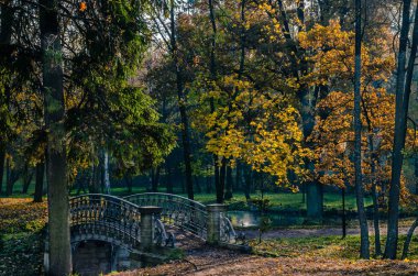 Gölgeli bir sonbahar sonbahar, kırmızı kum ile eski bir köprü serpilir bir yol Park çok renkli ağaçlar ile dekore edilmiş.
