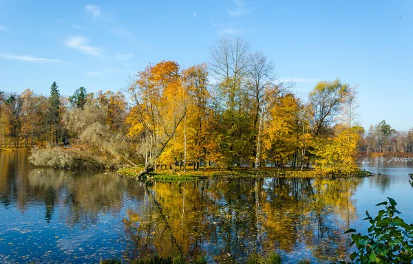 Carpet Yellow Leaves Covers Ground Trees Gold Decoration Blue Water — Stock Photo, Image