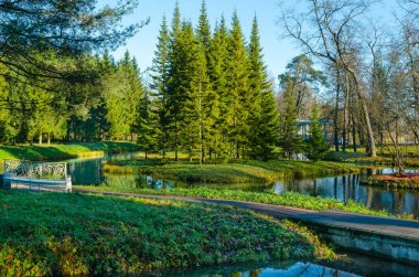 Mavi gökyüzüne karşı yeşil çayırlar ve sonbahar ağaçları ile çevrili küçük bir ada ile küçük bir mavi göl.
