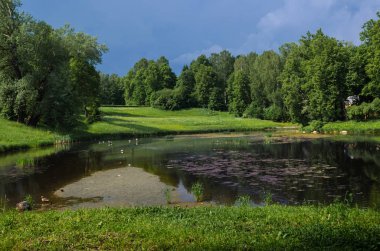 Gölün karanlık sularla dolu çimenli kıyısı. Ağaç ve çalılıklar. Koyu mavi fırtınalı gökyüzü.