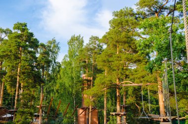 Yüksek çam spor için çeşitli ekipman ve dişli - halatlar, sapanlar, ahşap adımlar, ızgaralar, platformlar sabittir.