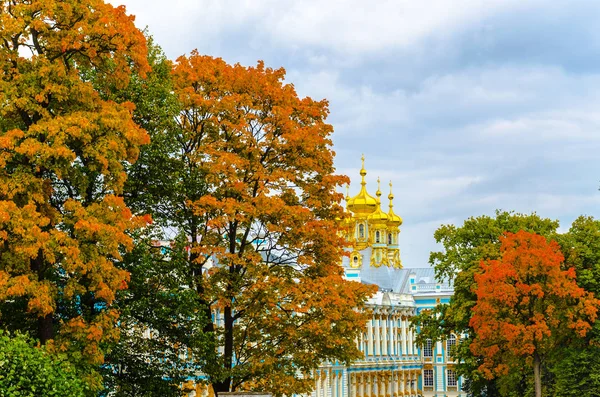 Saint Petersburg Rusya Eylül 2019 Gökyüzünün Arka Planında Sonbahar Yaprakları — Stok fotoğraf