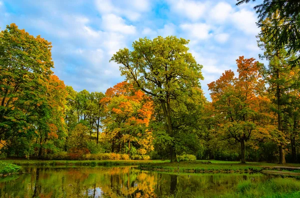 Gli Alberi Dipinti Vivaci Colori Autunnali Sulla Riva Tranquillo Lago Foto Stock Royalty Free