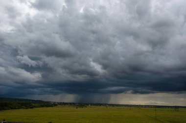 Yeşil çayıra kıvırcık bulut damlaları yağıyor.