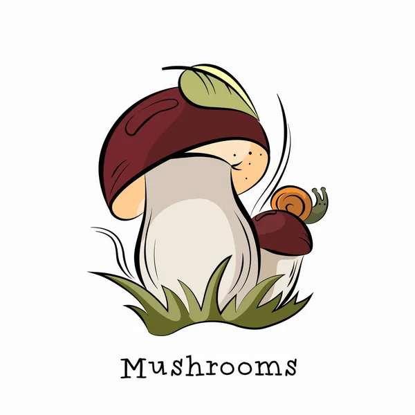 Funghi Nell Erba Con Una Foglia Una Lumaca Sul Cappello — Vettoriale Stock