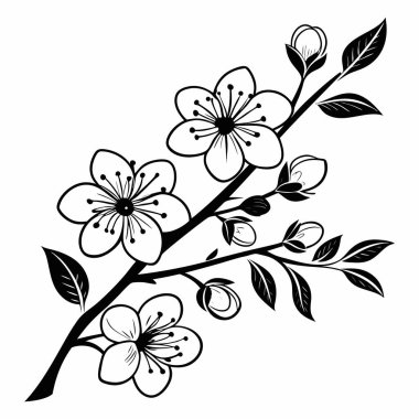 Çiçek açan çiçek dalı beyaz arkaplanda siyah beyaz çizim yapıyor.