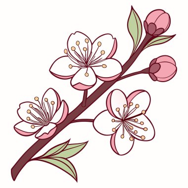 Beyaz arkaplanda açan çiçek dalı