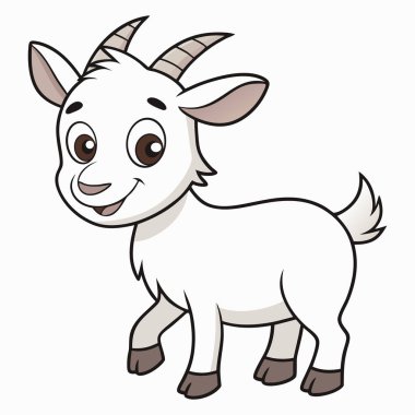 İnsan kalbi anatomi damarları odacıkları ve beyaz arka plandaki yapı