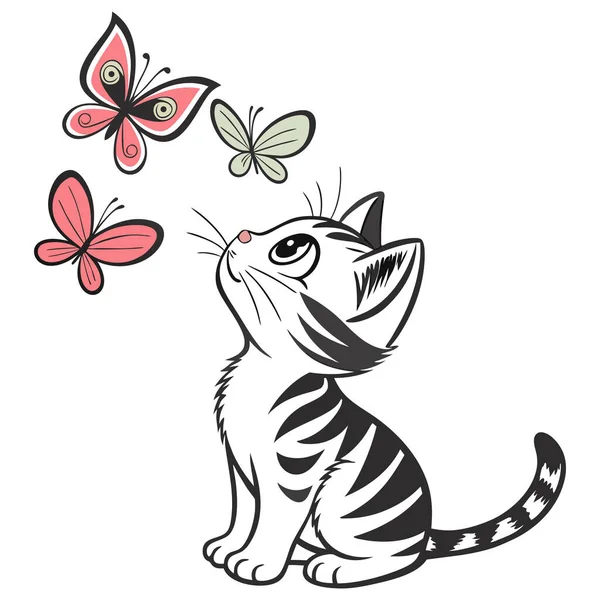 Beyaz arka planda kelebekleri izleyen kedi yavrusu