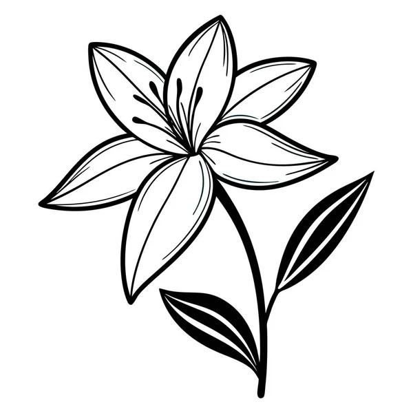 Beyaz arkaplanda siyah beyaz zambak çiçeği