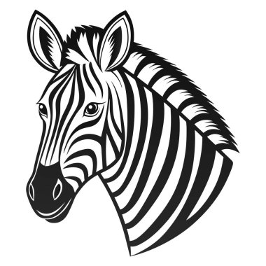 Zebra head stripes on white background