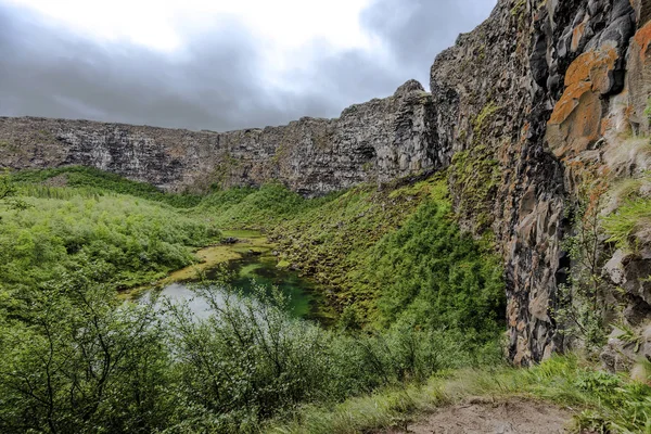 アイスランド北部 Asbyrgisskogur Botnstjorn 湖における Asbyrgi 氷河渓谷で Vue 垂直壁山に囲まれました — ストック写真