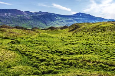 Kuzeyinde Kuzey İzlanda Hunavatnshreppur Belediyesi sarmıştın otlaklar içinde. Nordurland Vestra.