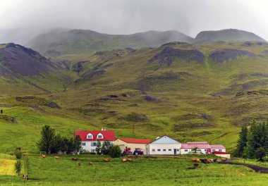 Highlands İzlanda'nın güneyinde tipik grupta. 