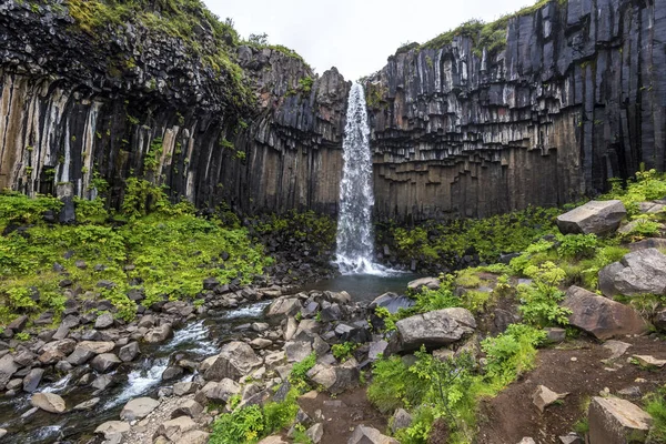 Skaftafell Vatnajku içinde Svartifoss veya Black Falls şelale