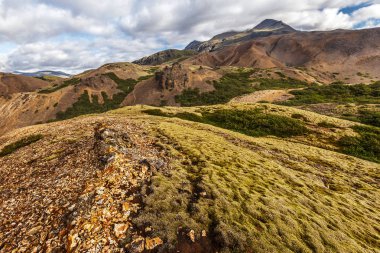 Jokulsa I Lo Doğu kenarına dağ ve tepeler peyzaj