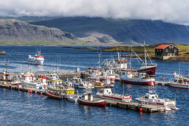 Djupivogur liman şehri n Doğu İzlanda'daki Austurland. M
