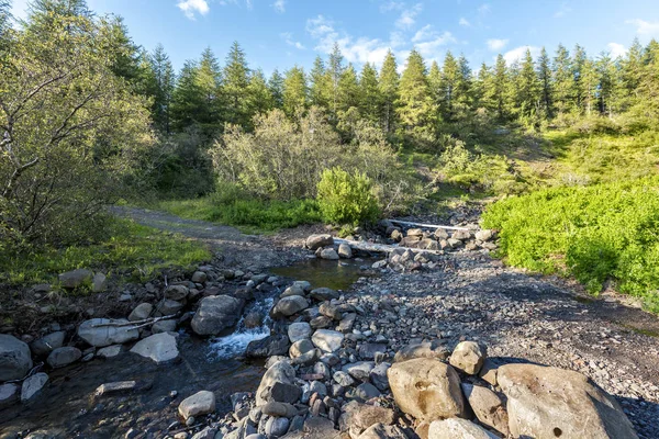 Hiking trial crosses Stadara water stream in Hallormsstadaskogur