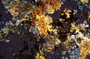 Mikroskop altında meteor Nwa 6870 petrografik ince bölümü