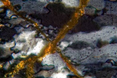 Mikroskop altında kuvars kristallerinin ince bölümü