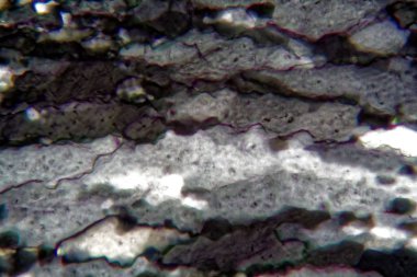 Mikroskop altında kuvars kristallerinin ince bölümü