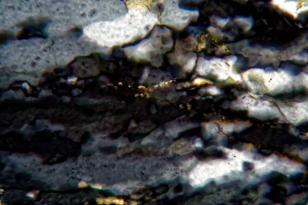 Тонкое сечение кварцевых кристаллов под микроскопом — стоковое фото