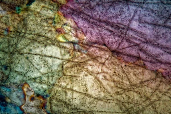 Coupe mince de cristaux de quartz au microscope — Photo