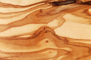 Arka plan veya doku olarak zeytin ağacı.