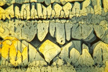 Mikroskop altında Potasyum ferricyanide simetrik olarak yetiştirilen kristaller