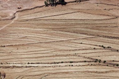 Doğu Afrika'da kuru alanlar 