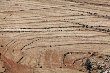 Doğu Afrika'da kuru alanlar