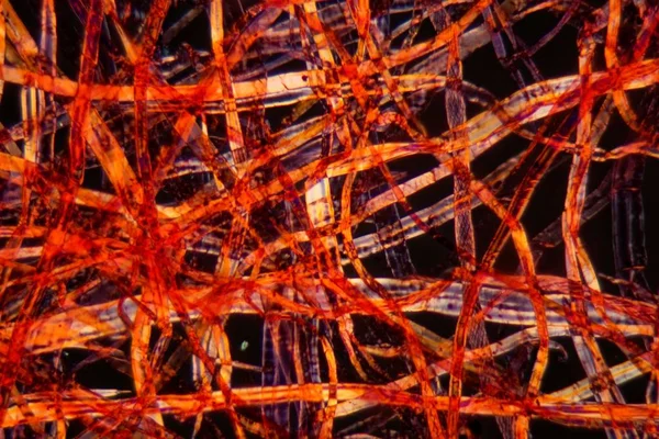 Mikroskop altında kırmızı plastik lifler — Stok fotoğraf
