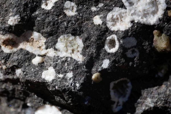 Minerały zeolitowe w czarnej skale bazaltowej — Zdjęcie stockowe