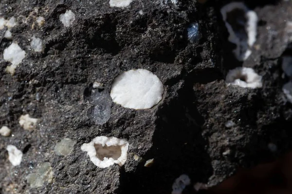 Зеолітові мінерали в чорному базальтовому камені — стокове фото