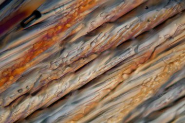 Mikroskop altında dondurulmuş bira, Alman soluk bira birası.