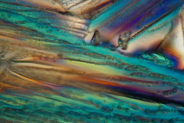 Mikroskop altında dondurulmuş bira, Pilsner bira. 