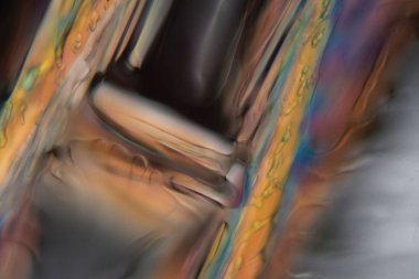 Mikroskop altında dondurulmuş bira, Pilsner bira.