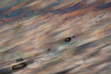 Bir mikroskop altında Dondurulmuş bira, Dortmunder İhracat bira.