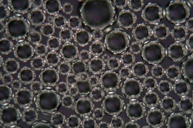 Bir mikroskop altında bira köpük kabarcıkları