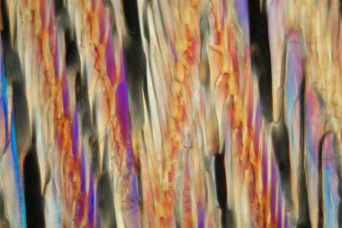 Mikroskop altında dondurulmuş bira, Keller birası.