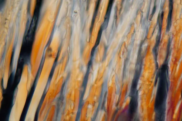 Frozen beer under a microscope, German pale lager beer. — Stock Photo, Image