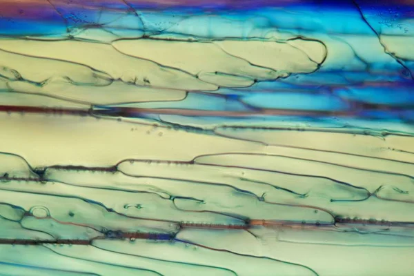 Frozen beer under a microscope, white Wheat beer. — Stock Photo, Image
