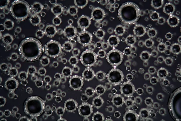 顕微鏡下および偏光中の界面活性剤流体中の気泡 — ストック写真