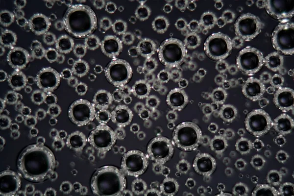 Mikroskop altında yüzey aktif sıvıda ve polarize ışıkta hava kabarcıkları — Stok fotoğraf