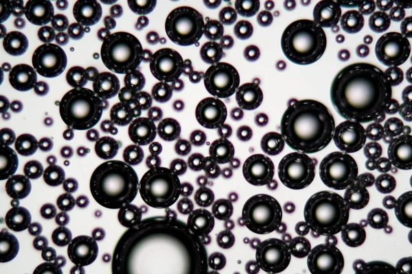 Vzduchové bubliny v povrchově aktivní kapalině pod mikroskopem — Stock fotografie
