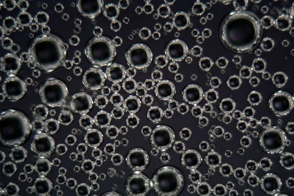 Air bubbles in a surfactant fluid under a microscope and in polarized light