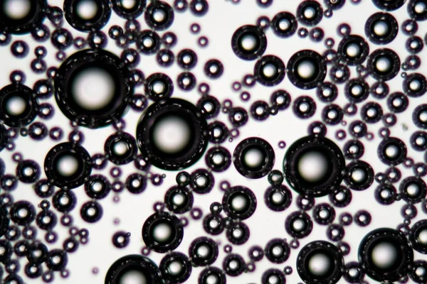 Air bubbles in an surfactant fluid under a microscope — Stock Photo, Image